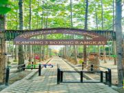 Desa Wisata untuk Menarik Wisatawan