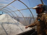 Lahan Tidur Milik Pemda Kota Cirebon Akan Dimanfaatkan