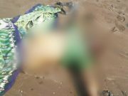 Mayat Pria Berbaju Hijau Ditemukan di Pesisir Pantai Jalasena Karawang