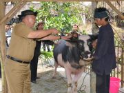 Cigugur Gelar Berbagai Acara Dalam Rangka Seren Taun