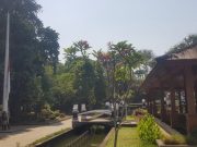 Bupati Anne Ajak Masyarakat Purwakarta Pasang Bendera Setengah Tiang