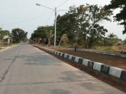 Biaya Perawatan Hingga 2 M, Tanaman Hias di Karawang Banyak yang Rusak