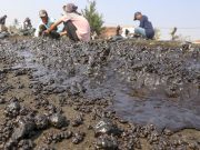 Pertamina Tidak Akan Bayar Kompensasi Sebelum SK Bupati Diturunkan