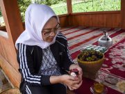 Berbeda dari Daerah Lain, Manggis Purwakarta Punya Daya Tahan Lebih Lama