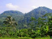 Marak Pemburu Liar, Keanekaragaman Hayati Gunung Sanggabuana Terancam