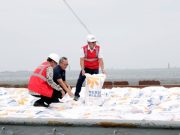 Mendag Pastikan Harga Beras Stabil Jelang Natal dan Tahun Baru