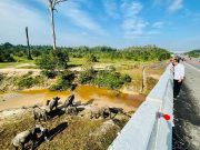 Presiden Jokowi Minta Jaga Kelestarian Lingkungan Ditengah Pembangunan Infrastruktur