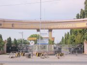 Viral Gaji Lemburan Tak Dibayar, Pemerintah Turun Tangan