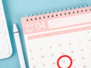 Menhub Usulkan Libur Cuti Bersama Dimajukan Jadi 19 April 2023