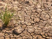 DPKP Karawang Siapkan Skenario Hadapi Iklim El Nino