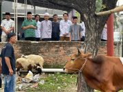 Peringati Idul Adha, PKB Karawang Potong 2 Ekor Sapi dan 4 Ekor Domba