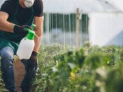 Kekeringan Masih Mengantui, Pemkab Karawang Ajak Masyarakat Sulap Lahan Pekarangan Jadi Kebun