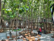 Hutan Jati Cafe and Gelato, Tempat Nongkrong Hits di Purwakarta Hutan Jati Cafe and Gelato