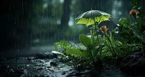 Prakiraan cuaca Jawa Barat