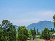 Taman Bunga Nusantara