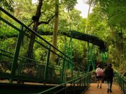 Healing Gratis! Babakan Siliwangi City Forest, Menikmati Hutan di Tengah Kota Babakan Siliwangi City Forest