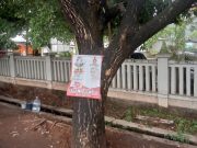 DLHK Karawang Geram Banyak APK Caleg Ditempel di Pohon