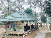 Kampung Durian Rancamaya: Musang King, Duri Hitam Sampai Sikempis Bisa Kalian Petik Sendiri Kampung Durian