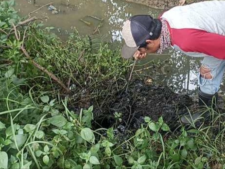 IMG_20240212_033227 Limbah beracun