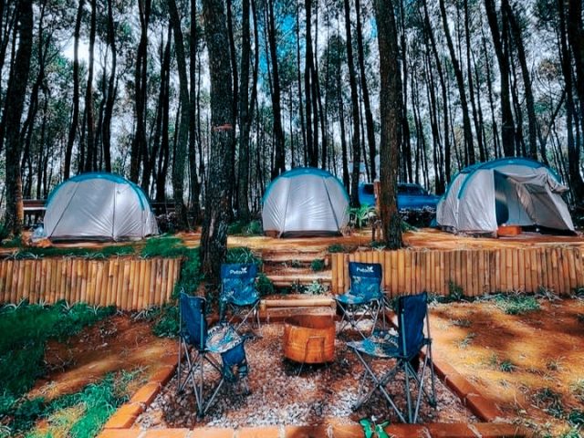 Datar Pinus Camp