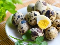 Manfaat telur puyuh