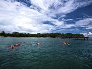 Nikmati Keindahan Pantai Tanjung Lesung Banten dengan Vibes Bali dan Surga Bawah Laut