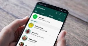 WhatsApp status