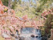 Umbulan Tanaka: Air Terjun Bernuansa Alam Pedesaan Jepang Umbulan Tanaka