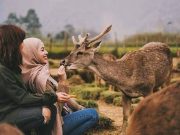 Wisata Ranca Upas: Surga Alam di Bandung Selatan, Tiket dan Info Lengkap Ranca upas