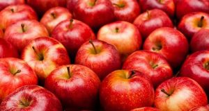 Manfaat buah apel