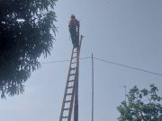 Sempat Makan Korban, PLN UP3 Karawang Perbaiki Kondisi Kabel di Kutajaya