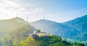 Agrowisata Gunung mas