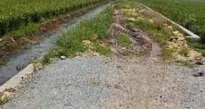 Infrastruktur Mangkrak