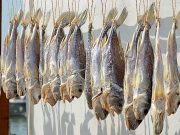 Negara penghasil ikan terbesar