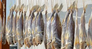 Negara penghasil ikan terbesar