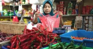 Harga cabai rawit
