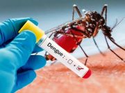 Dinkes Karawang Catat 2.125 Kasus DBD, Warga Diminta Waspada DBD karawang