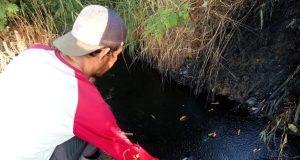 Limbah hutan kota Karawang