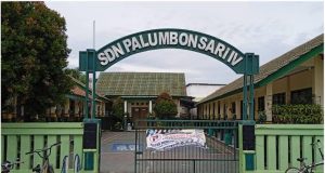 SDN Palumbonsari iv