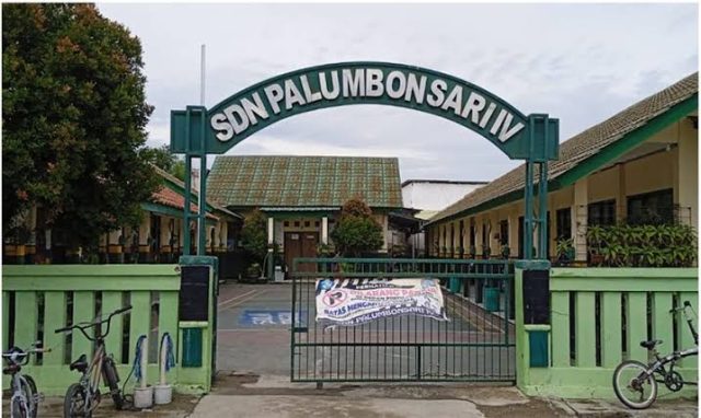 SDN Palumbonsari iv