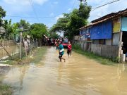 Banjir Karawang Meluas: Tiga Kecamatan Terendam, Evakuasi Warga Masif Banjir karawang