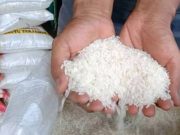 Ciri-ciri beras oplosan