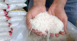 Ciri-ciri beras oplosan