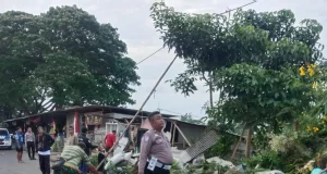 Kecelakaan truk Fuso di karawang