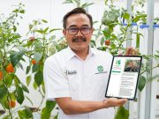 Pupuk Kujang Memuat Aplikasi Pertanian Berbasis AI, Bisa Konsultasi 24 Jam Aplikasi chatbot pupuk kujang