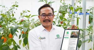 Aplikasi chatbot pupuk kujang