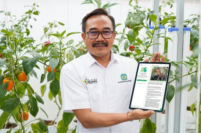 Aplikasi chatbot pupuk kujang