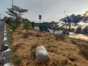 Tuai Banyak Kritikan, DLHK Karawang Beri Penjelasan Terkait Penaburan Sekam di Taman Jalan Interchange