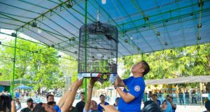 Festival lomba burung karawang