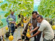 DPMD BUMDes Karawang